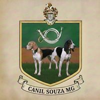 thiago.augusto.de530