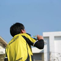patanin2007