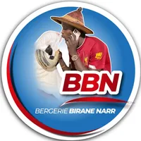 original sound - biranenarr