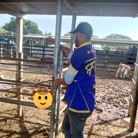yordi.chirinos