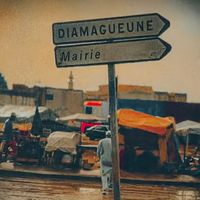 ilzo_221