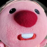 taengkwaaryi