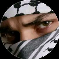 wolfdz86