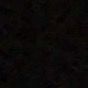 ymr_v89