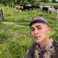 joaohenriqu_rod