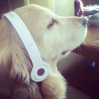 original sound - 丽琳