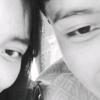 rzz.vinix