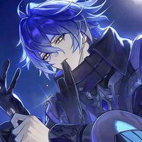 nin_hout
