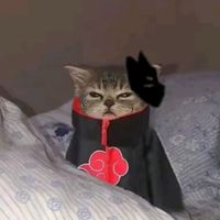 aoomltsjo2