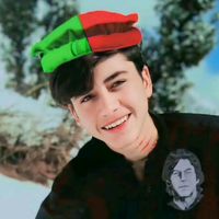 salman.safi.51