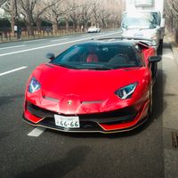 dipta8277
