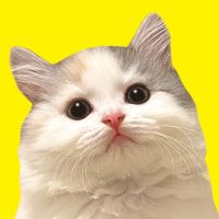 オリジナル楽曲 - ニャンチューバーつくし