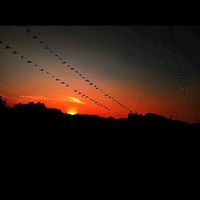 tevera_.7
