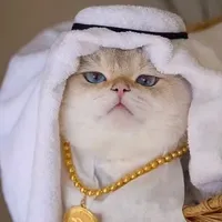 sinimatik