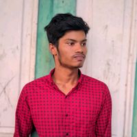 mdnayemislam2687