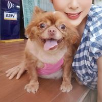 เสียงต้นฉบับ - ♒ผู้หญิงราศีกุมภ์♒
