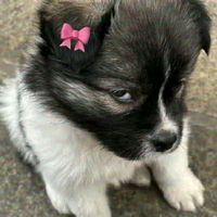 layn..love