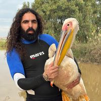 ofir_ben_hamo