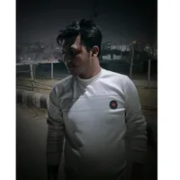 original sound - heronsarker04