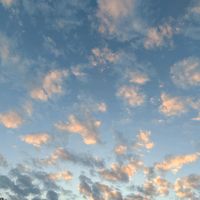 オリジナル楽曲 - 金欠だから金ちょうだい