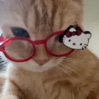 original sound - ryffmaira0