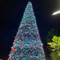 フレたちの様子