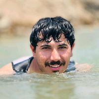 الصوت الأصلي