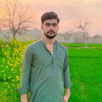 baghidawar7