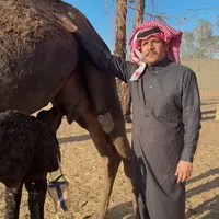 original sound - hamad.atawi