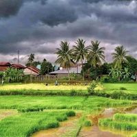 เสียงต้นฉบับ - តស៑ូដើម្បីជីវិត