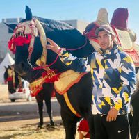 الصوت الأصلي