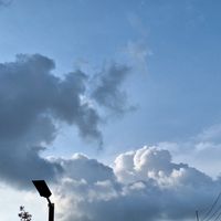 เสียงต้นฉบับ - ลูกหมีที่แปลว่าลูกหมู2004°