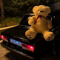 ll_kamilov._ll