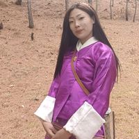 drimselzhenphendorji