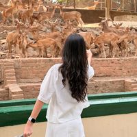 original sound - Phyu Phyu Oo