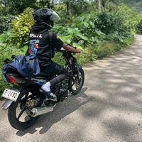 fj.alvy