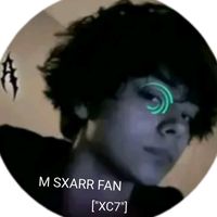 sxass.fan