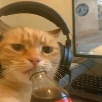 original sound - ma.fe lusan