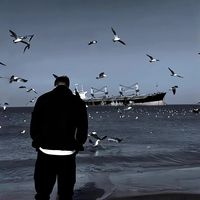 原声 - wg8698