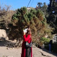 shikhayonjan33