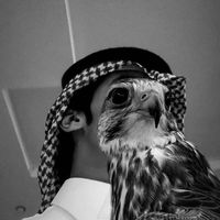 الصوت الأصلي