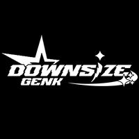 downsize.genk