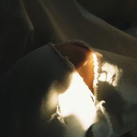 sune_kajiri