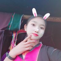 palong1257