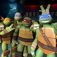 turtleswisdom52