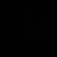 mina_younan6