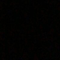 pollito__34