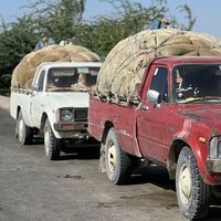 shahobaghi008