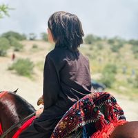 gulbadinnaib16