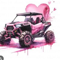 lasfierasrzr